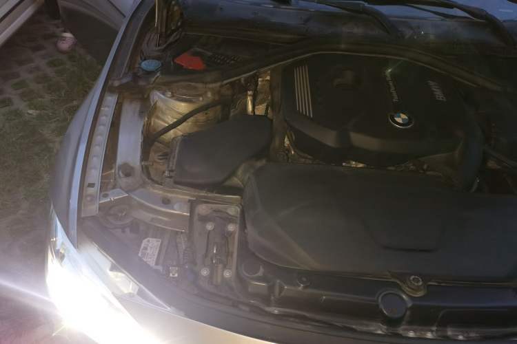 Used BMW 3 Series 2019 320Li Fashion Model Engine Bay Right