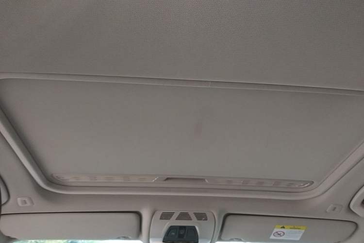 Used BMW 3 Series 2019 320Li Fashion Model Headliner