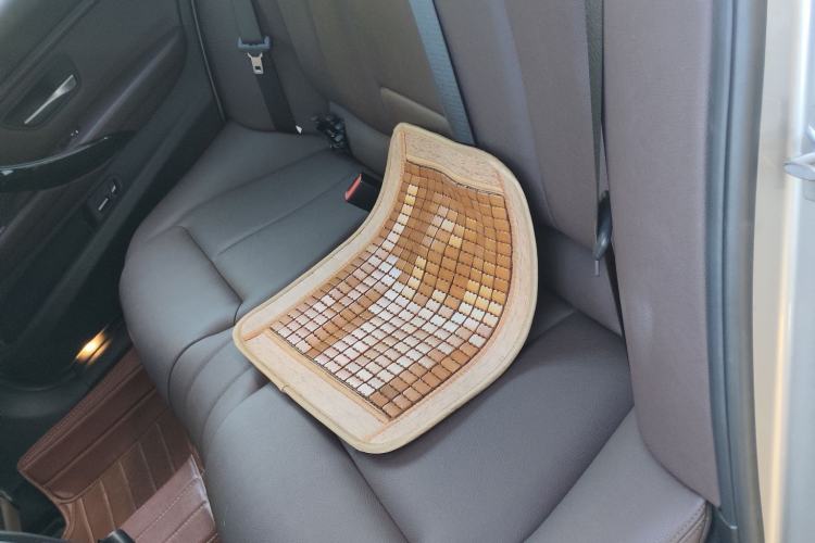Used BMW 3 Series 2019 320Li Fashion Model Left Rear Seat