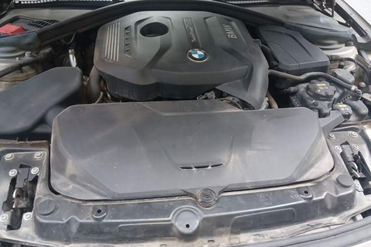 Used BMW 3 Series 2019 320Li xDrive Fashion Model Engine Bay