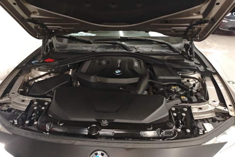 Used BMW 3 Series 2019 320Li Fashion Model Engine Bay
