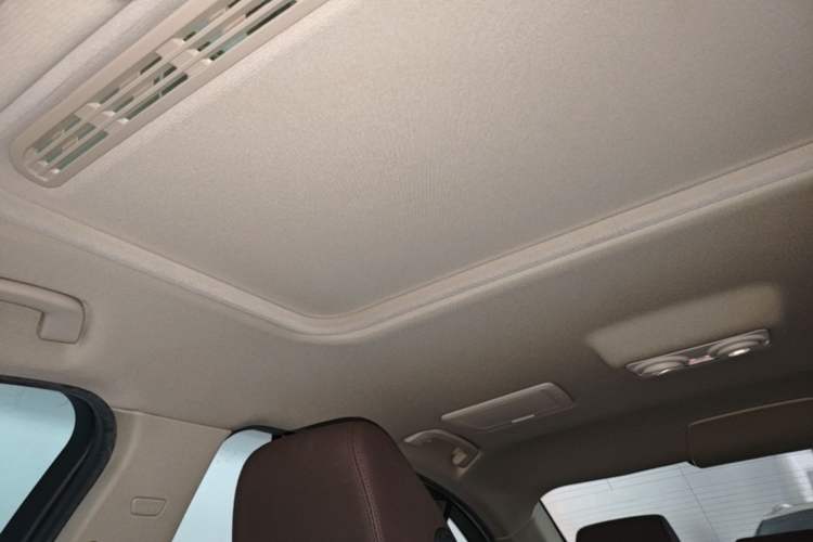 Used BMW 3 Series 2019 320Li Fashion Model Headliner