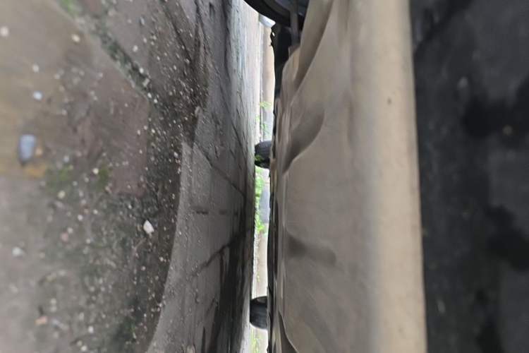 Used BMW 3 Series 2019 320Li Fashion Model Chassis Front