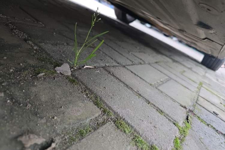 Used BMW 3 Series 2019 320Li Fashion Model Chassis Rear Right