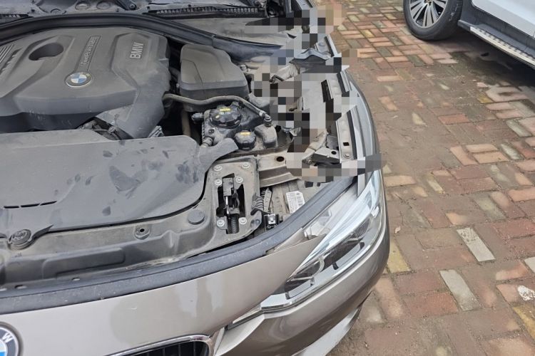Used BMW 3 Series 2019 320Li Fashion Model Engine Bay Left
