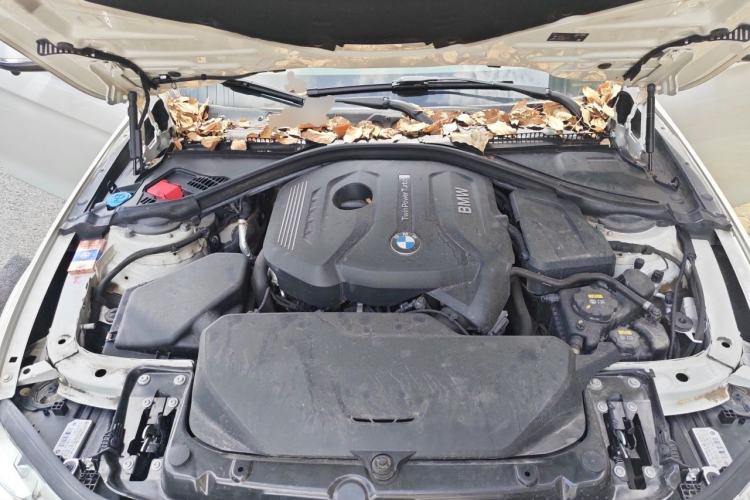 Used BMW 3 Series 2019 320Li Fashion Model Engine Bay