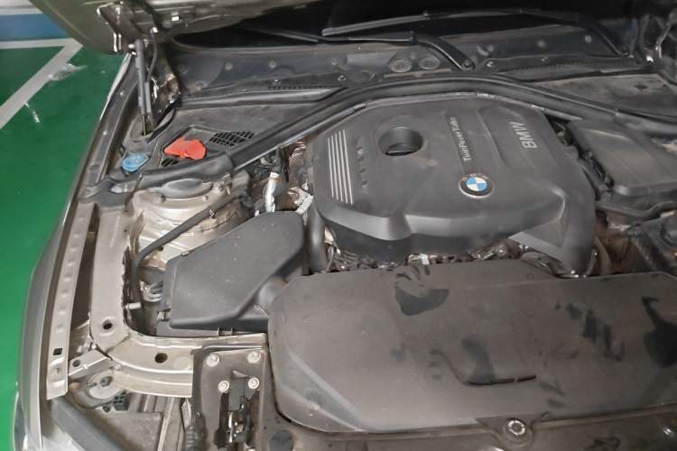 Used BMW 3 Series 2019 320Li Fashion Model Engine Bay Right
