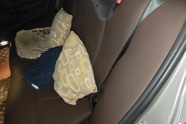 Used BMW 3 Series 2019 320Li Fashion Model Left Rear Seat