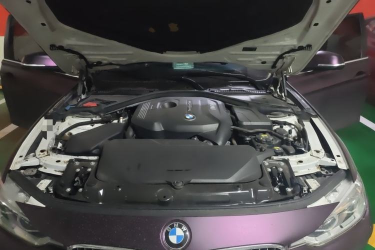 Used BMW 3 Series 2019 320Li xDrive Fashion Model Engine Bay