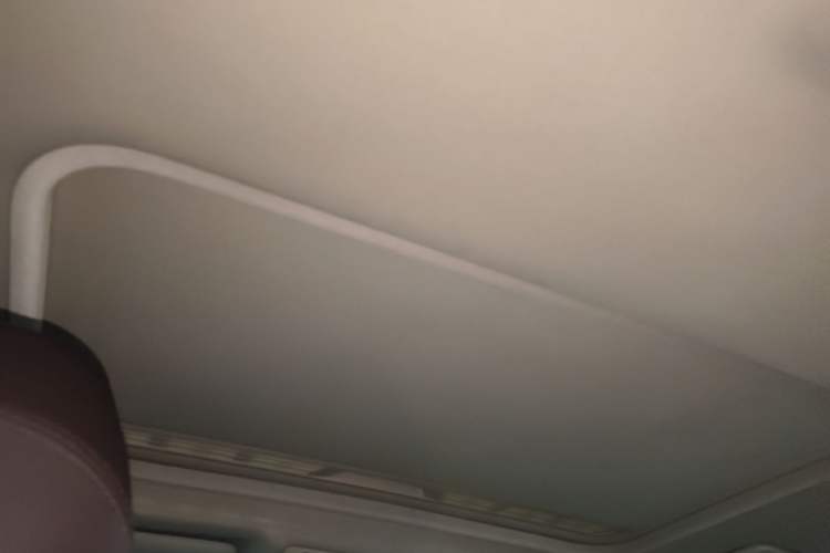 Used BMW 3 Series 2019 320Li Fashion Model Headliner