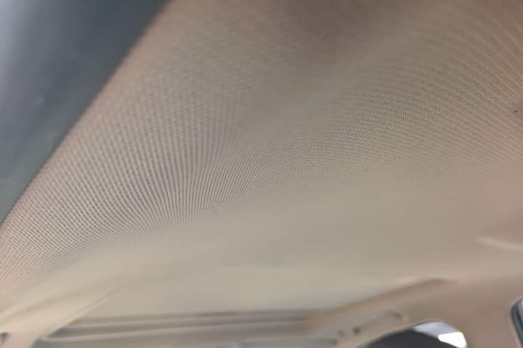 Used BMW 3 Series 2019 320Li Fashion Model Headliner