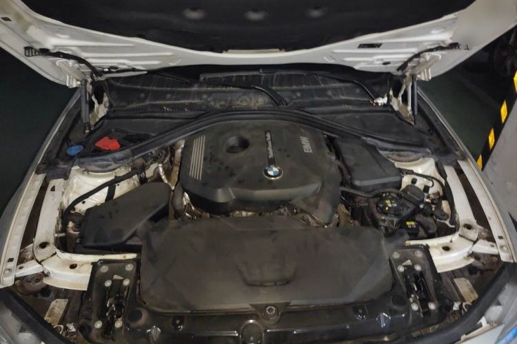 Used BMW 3 Series 2019 320Li M Sport Package Engine Bay