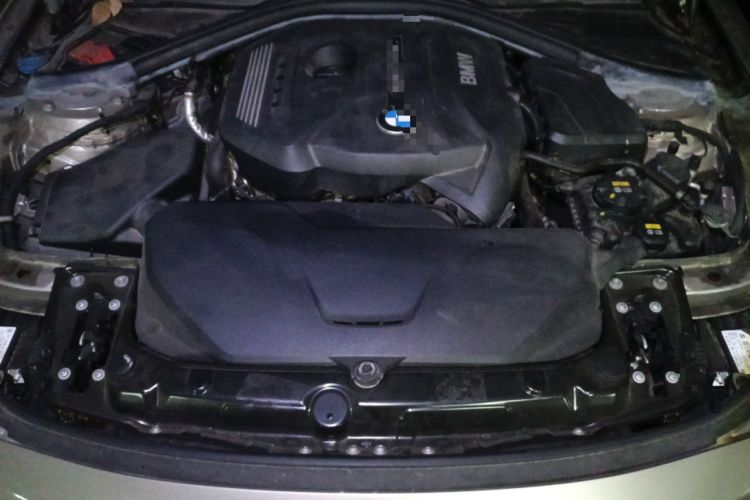 Used BMW 3 Series 2019 320Li Fashion Model Engine Bay