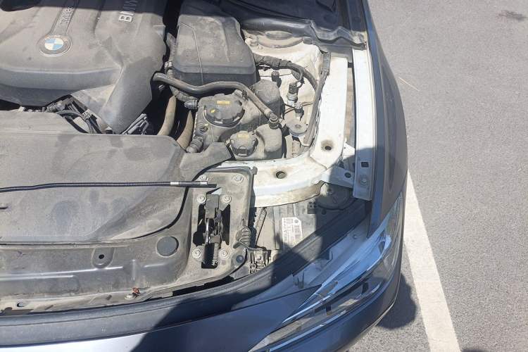 Used BMW 3 Series 2019 320Li xDrive Fashion Model Engine Bay Left