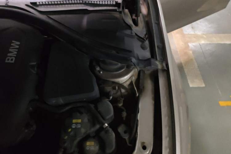 Used BMW 3 Series 2019 320Li Fashion Model Engine Bay Left