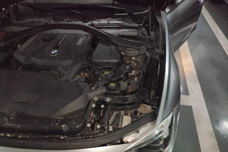 Used BMW 3 Series 2019 320Li M Sport Night Edition Engine Bay Left