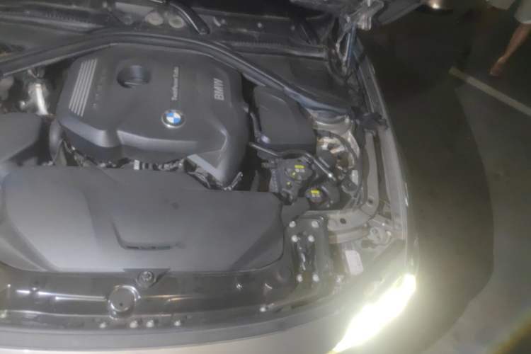 Used BMW 3 Series 2019 320Li Fashion Model Engine Bay Left