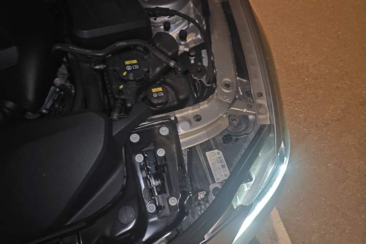 Used BMW 3 Series 2019 320Li Fashion Model Engine Bay Left