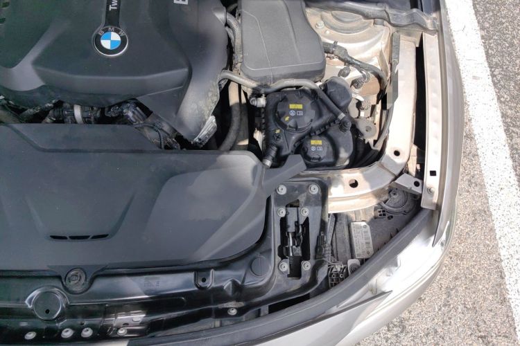 Used BMW 3 Series 2019 320Li Fashion Model Engine Bay Left