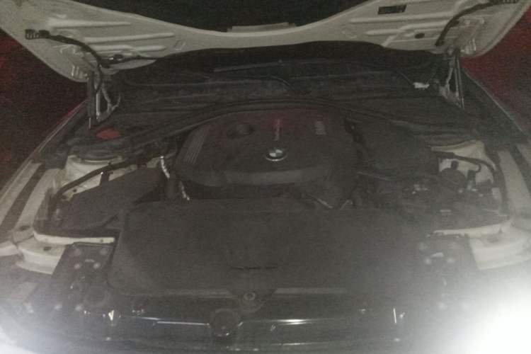 Used BMW 3 Series 2019 320Li M Sport Package Engine Bay