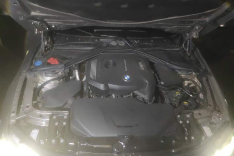 Used BMW 3 Series 2019 320Li Fashion Model Engine Bay