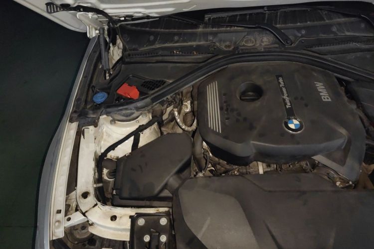 Used BMW 3 Series 2019 320Li M Sport Package Engine Bay Right