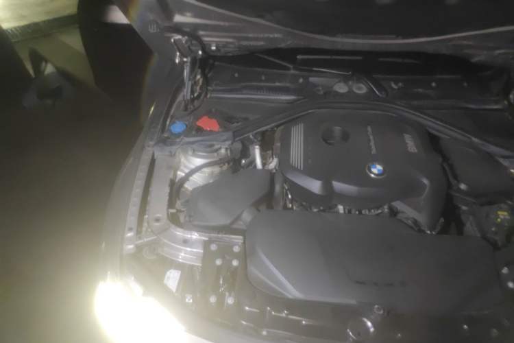 Used BMW 3 Series 2019 320Li Fashion Model Engine Bay Right
