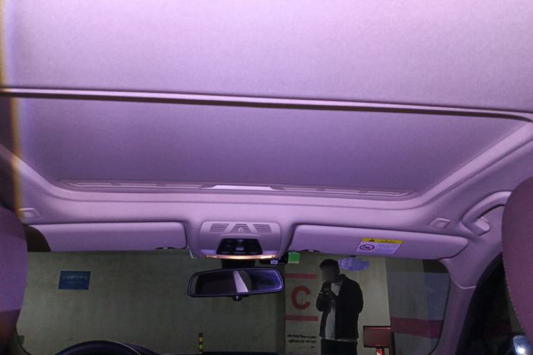 Used BMW 3 Series 2019 320Li Fashion Model Headliner