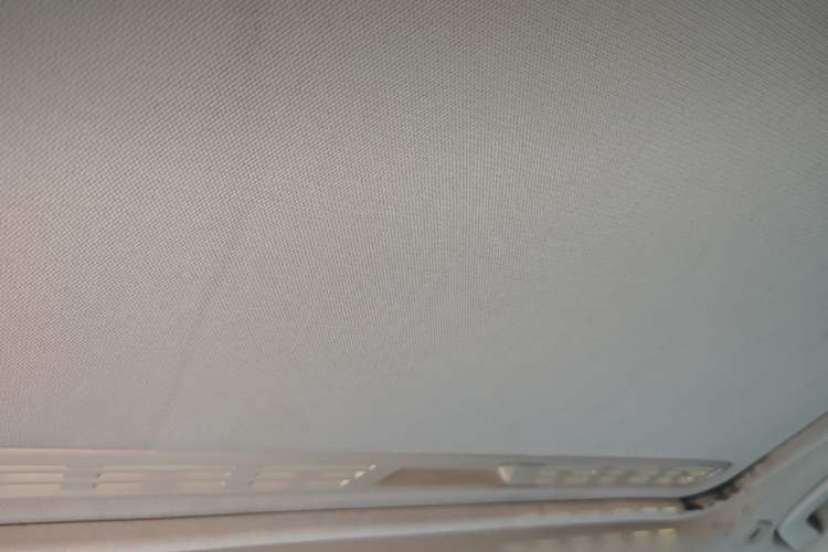Used BMW 3 Series 2019 320Li Fashion Model Headliner