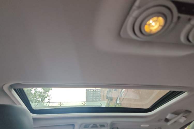 Used BMW 3 Series 2019 320Li Fashion Model Headliner