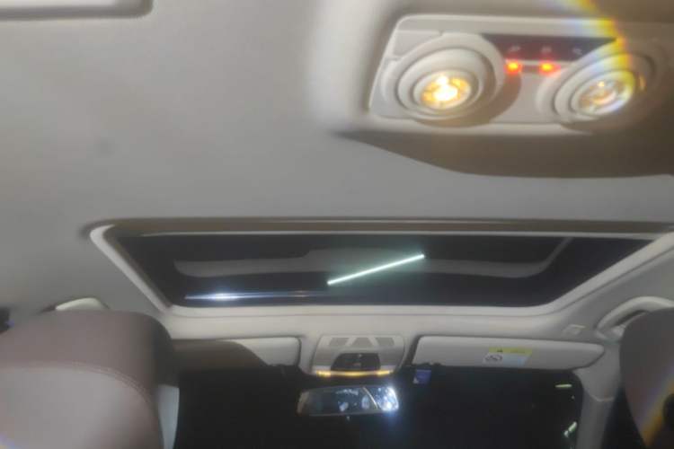 Used BMW 3 Series 2019 320Li Fashion Model Headliner