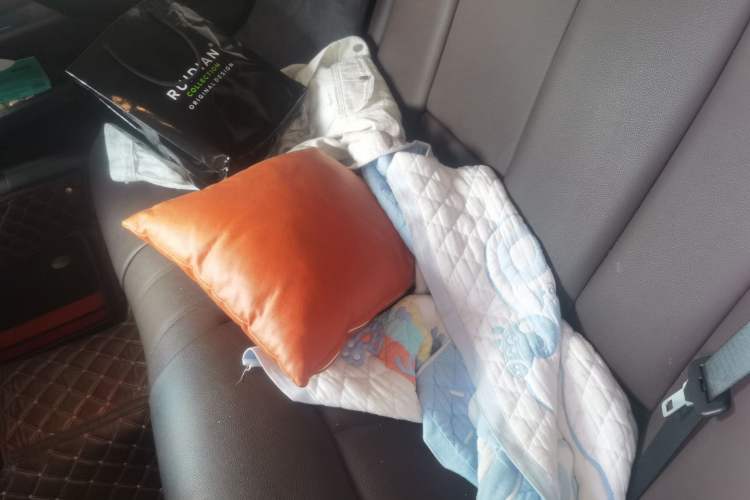Used BMW 3 Series 2019 320Li Fashion Model Left Rear Seat