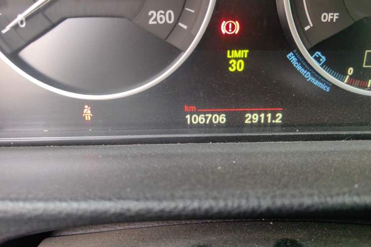 Used BMW 3 Series 2019 320Li Fashion Model Odometer Close Up