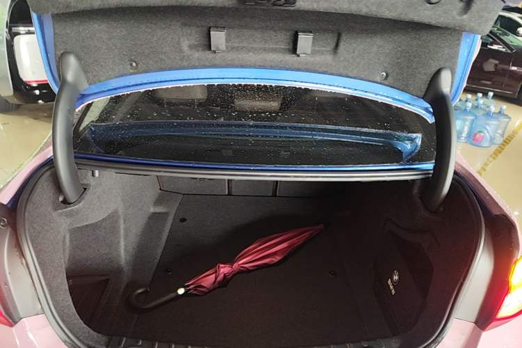 Used BMW 3 Series 2019 320Li M Sport Package Trunk