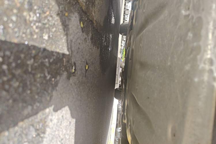 Used BMW 3 Series 2019 320Li Fashion Model Chassis Front