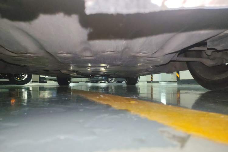 Used BMW 3 Series 2019 320Li Fashion Model Chassis Front
