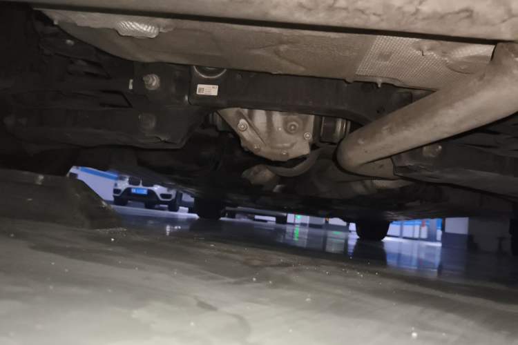 Used BMW 3 Series 2019 320Li xDrive Fashion Model Chassis Rear