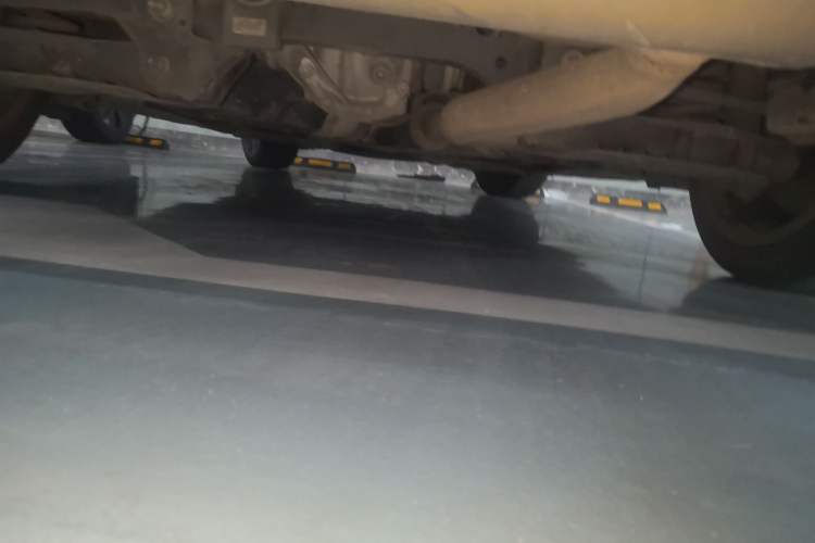 Used BMW 3 Series 2019 320Li Fashion Model Chassis Rear