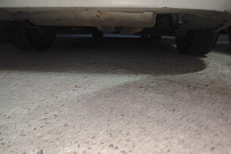 Used BMW 3 Series 2019 320Li Fashion Model Chassis Rear