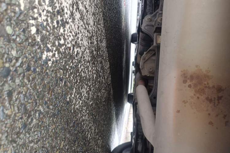 Used BMW 3 Series 2019 320Li Fashion Model Chassis Rear