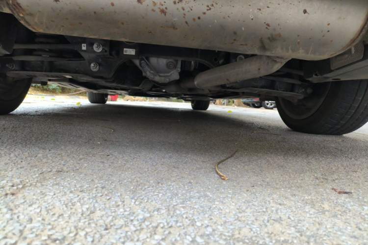 Used BMW 3 Series 2019 320Li Fashion Model Chassis Rear
