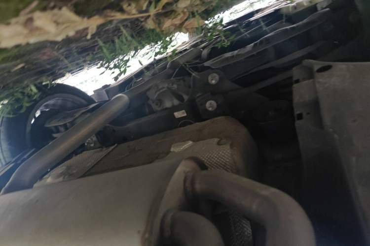 Used BMW 3 Series 2019 320Li Fashion Model Chassis Rear