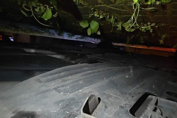 Used BMW 3 Series 2019 320Li Fashion Model Chassis Rear