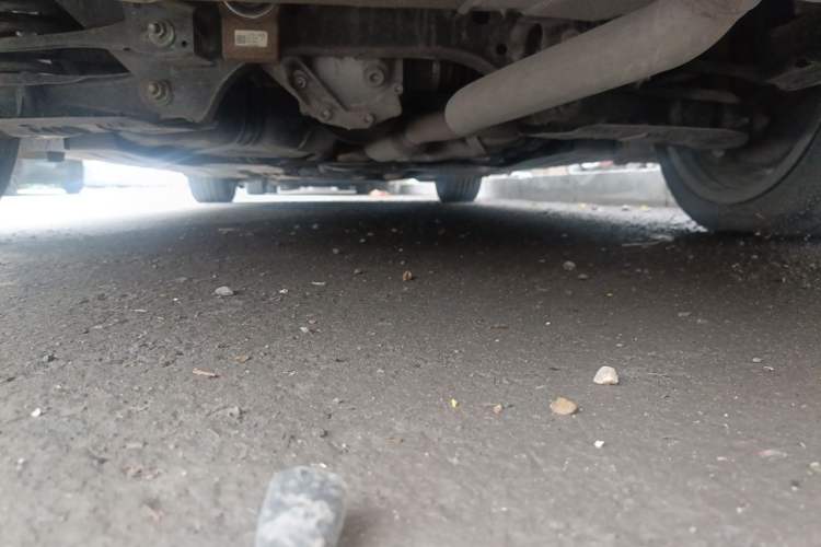 Used BMW 3 Series 2019 320Li xDrive Fashion Model Chassis Rear