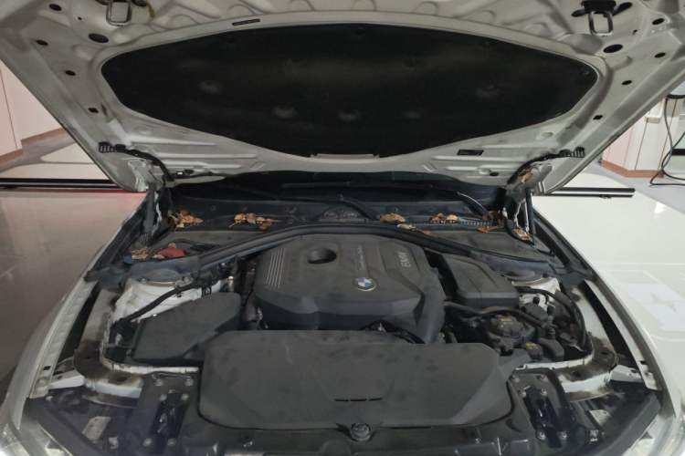 Used BMW 3 Series 2019 320Li Fashion Model Engine Bay
