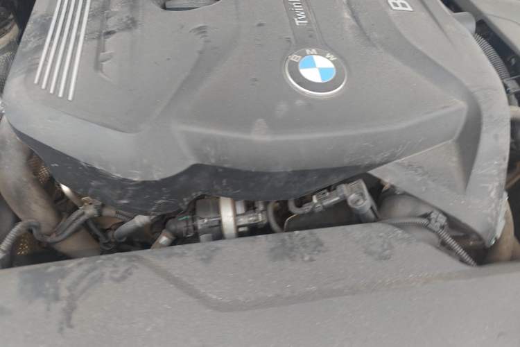 Used BMW 3 Series 2019 320Li Fashion Model Engine Bay