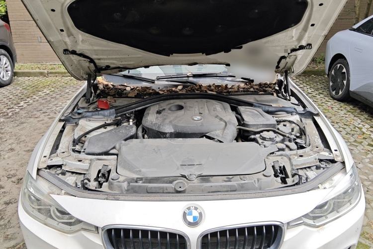 Used BMW 3 Series 2019 320Li M Sport Package Engine Bay