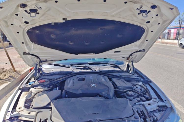 Used BMW 3 Series 2019 320Li M Sport Package Engine Bay