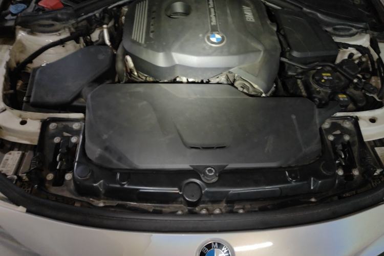 Used BMW 3 Series 2019 320Li M Sport Package Engine Bay