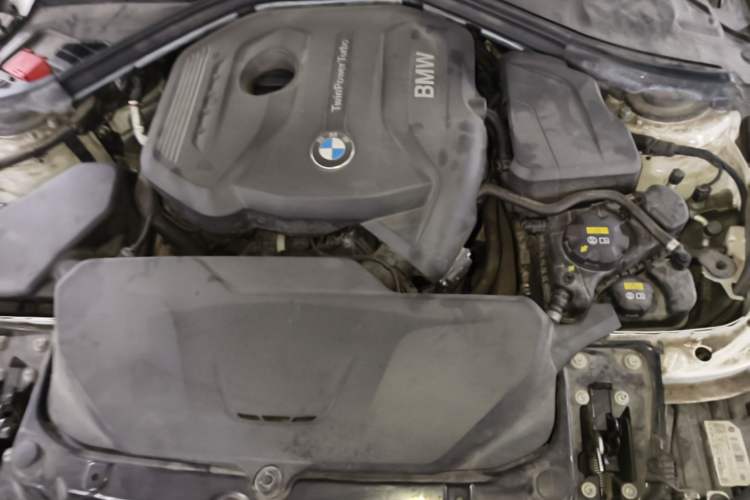 Used BMW 3 Series 2019 320Li M Sport Package Engine Bay